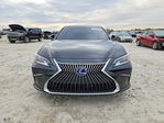 Lexus ES 2021