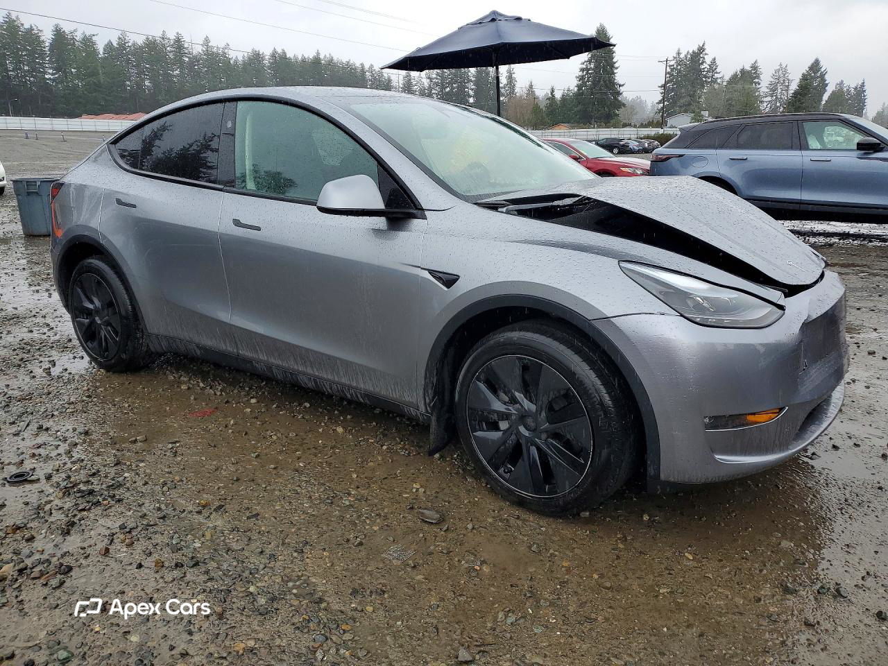 Tesla Model Y 2025