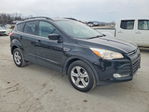 Ford Escape 2016