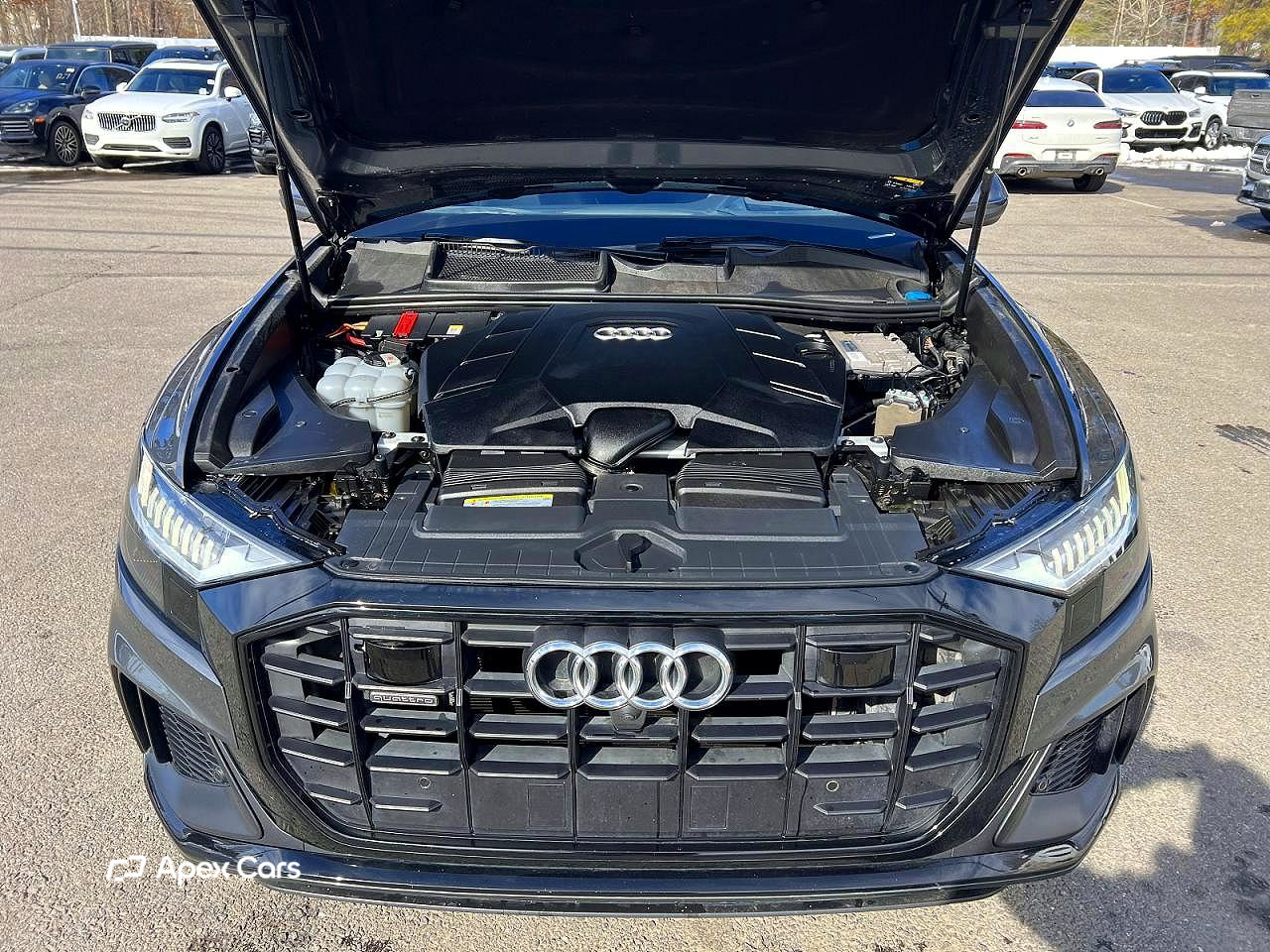 Audi Q8 2019