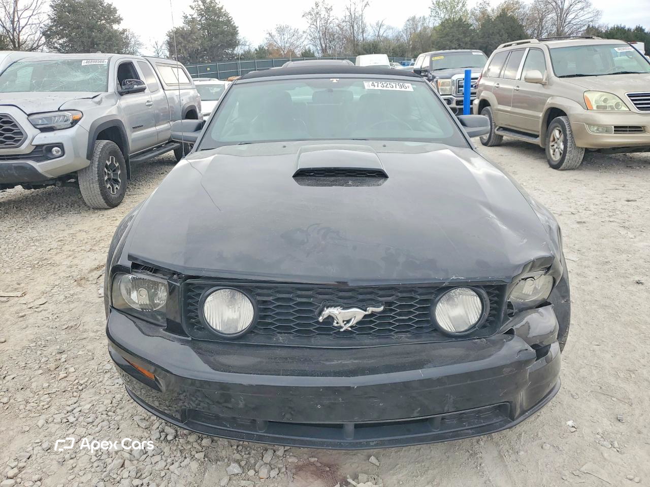 Ford Mustang 2008