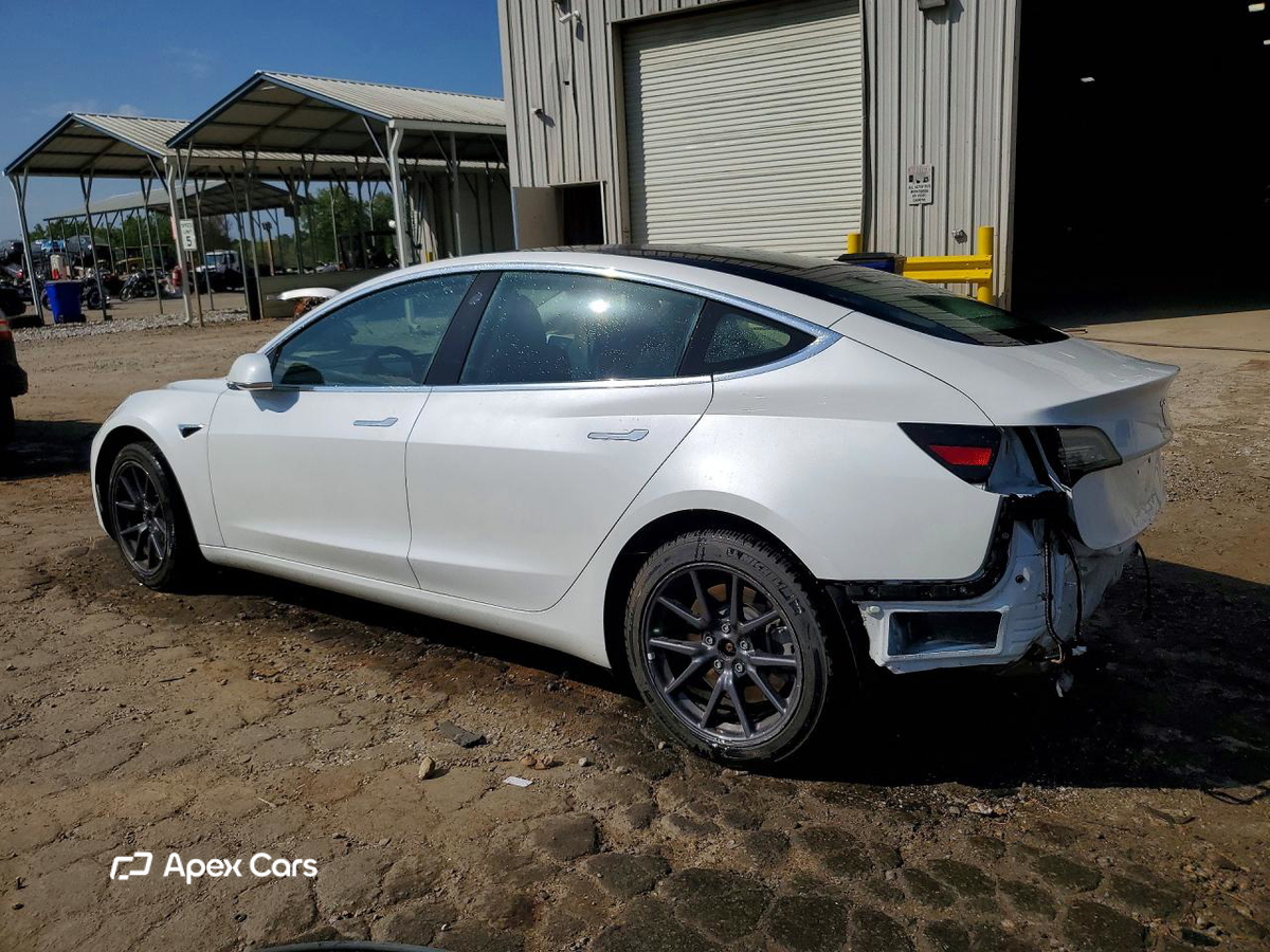 Tesla Model 3 2019