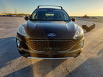 Ford Escape 2020