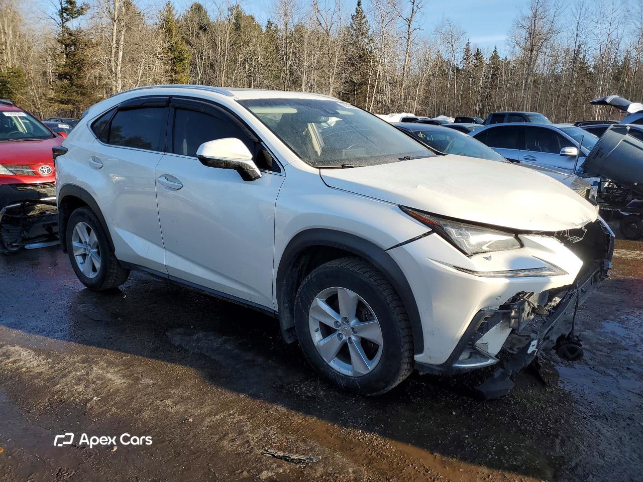 Lexus NX 2018