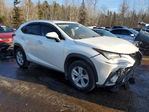 Lexus NX 2018
