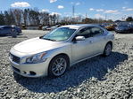 Nissan Maxima 2010