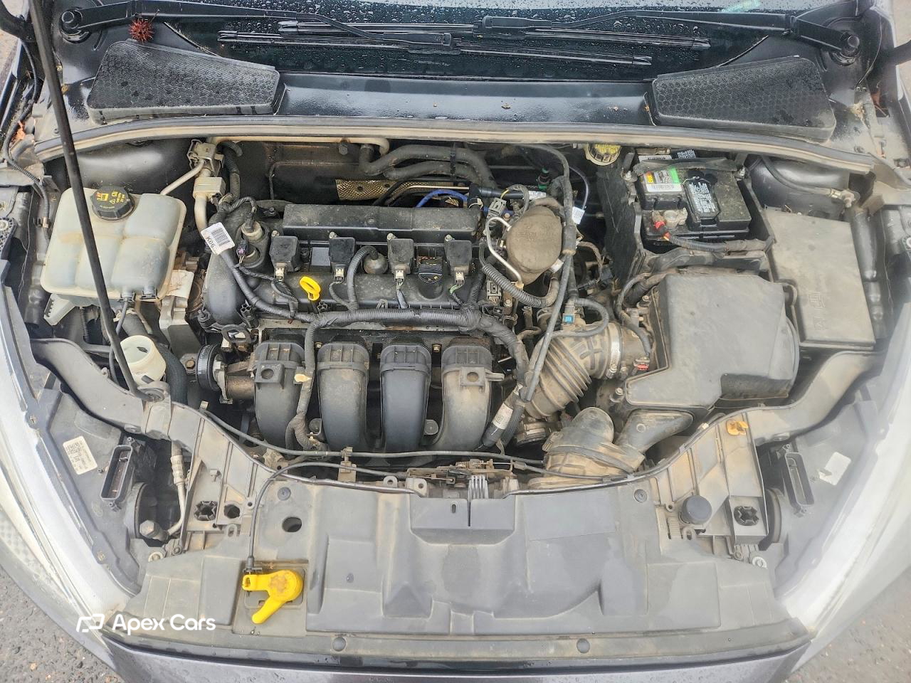 Ford Focus 2016