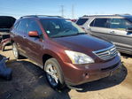 Lexus RX 2008