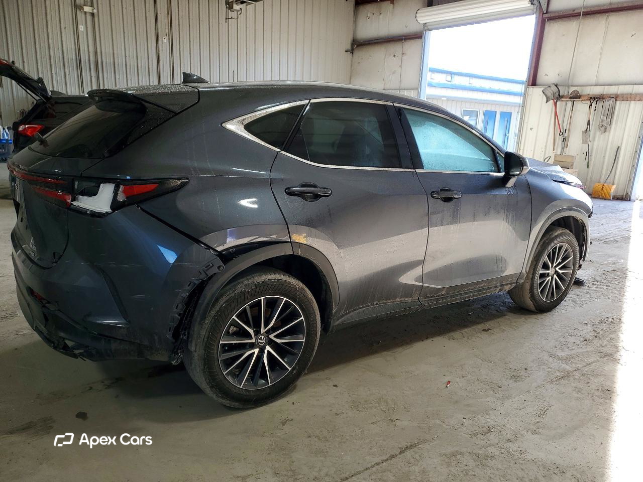 Lexus NX 2024