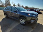 Toyota RAV 4 2023