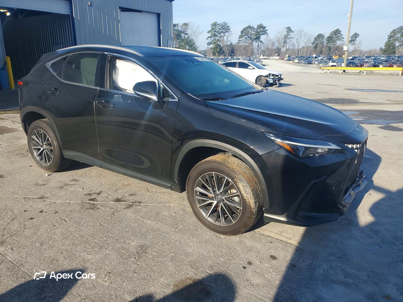 Lexus NX 2024