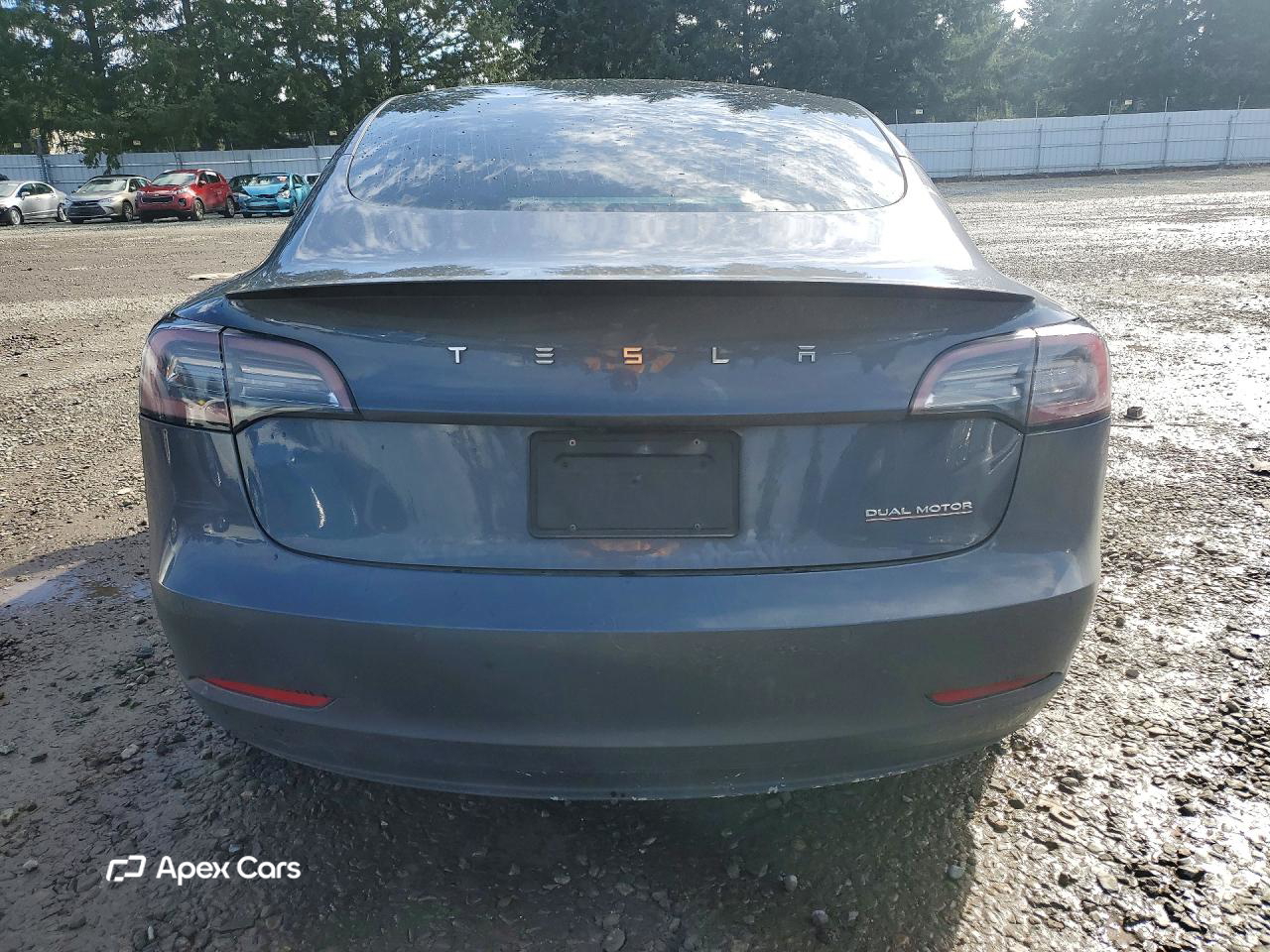 Tesla Model 3 2019