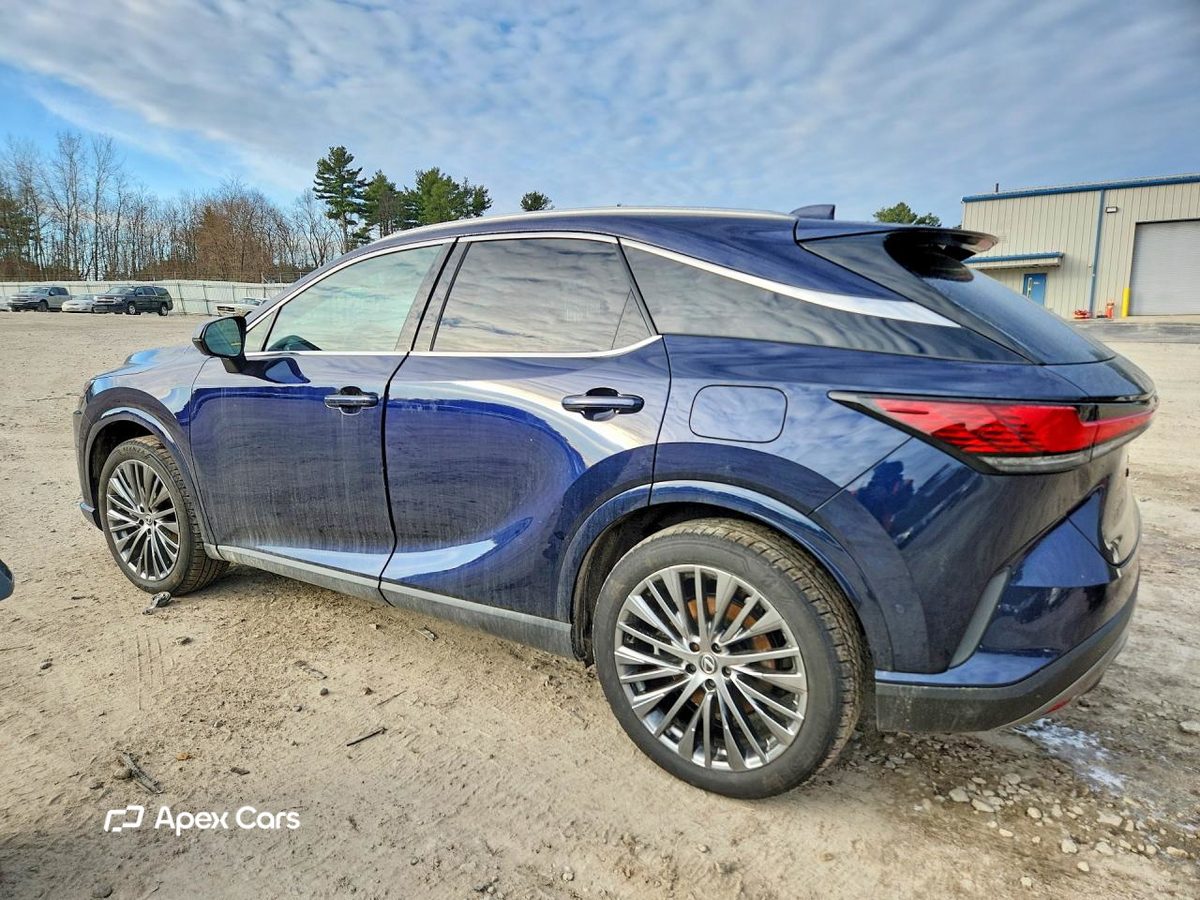 Lexus  2024