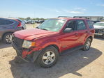 Ford Escape 2008