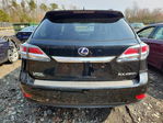 Lexus RX 2013