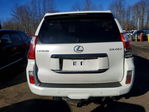 Lexus GX 2010