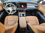 Lexus RX 2025
