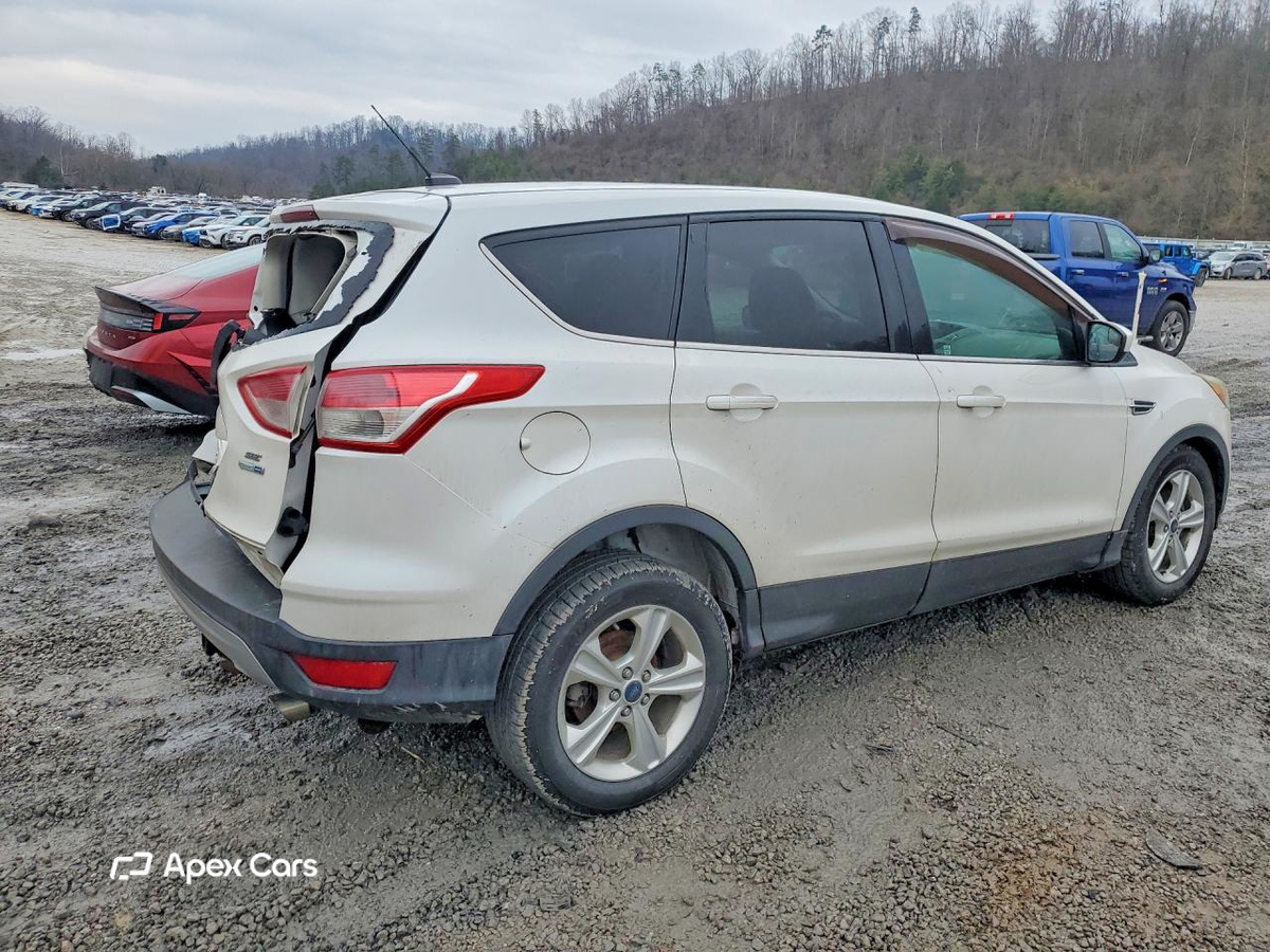 Ford Escape 2014