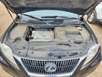 Lexus RX 2010