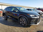 Lexus NX 2021