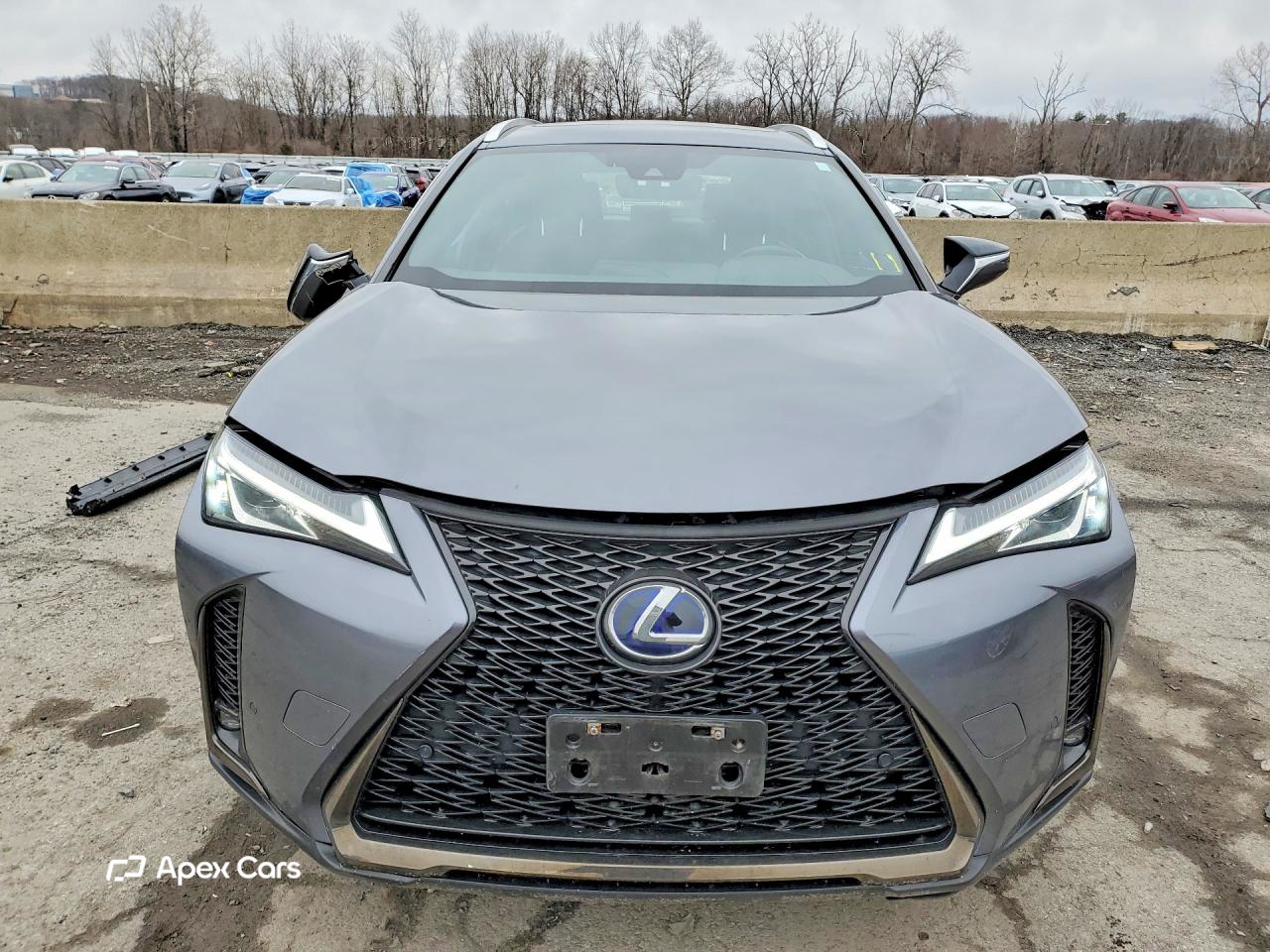 Lexus UX 2021
