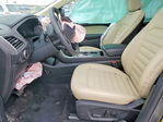 Ford Edge 2024