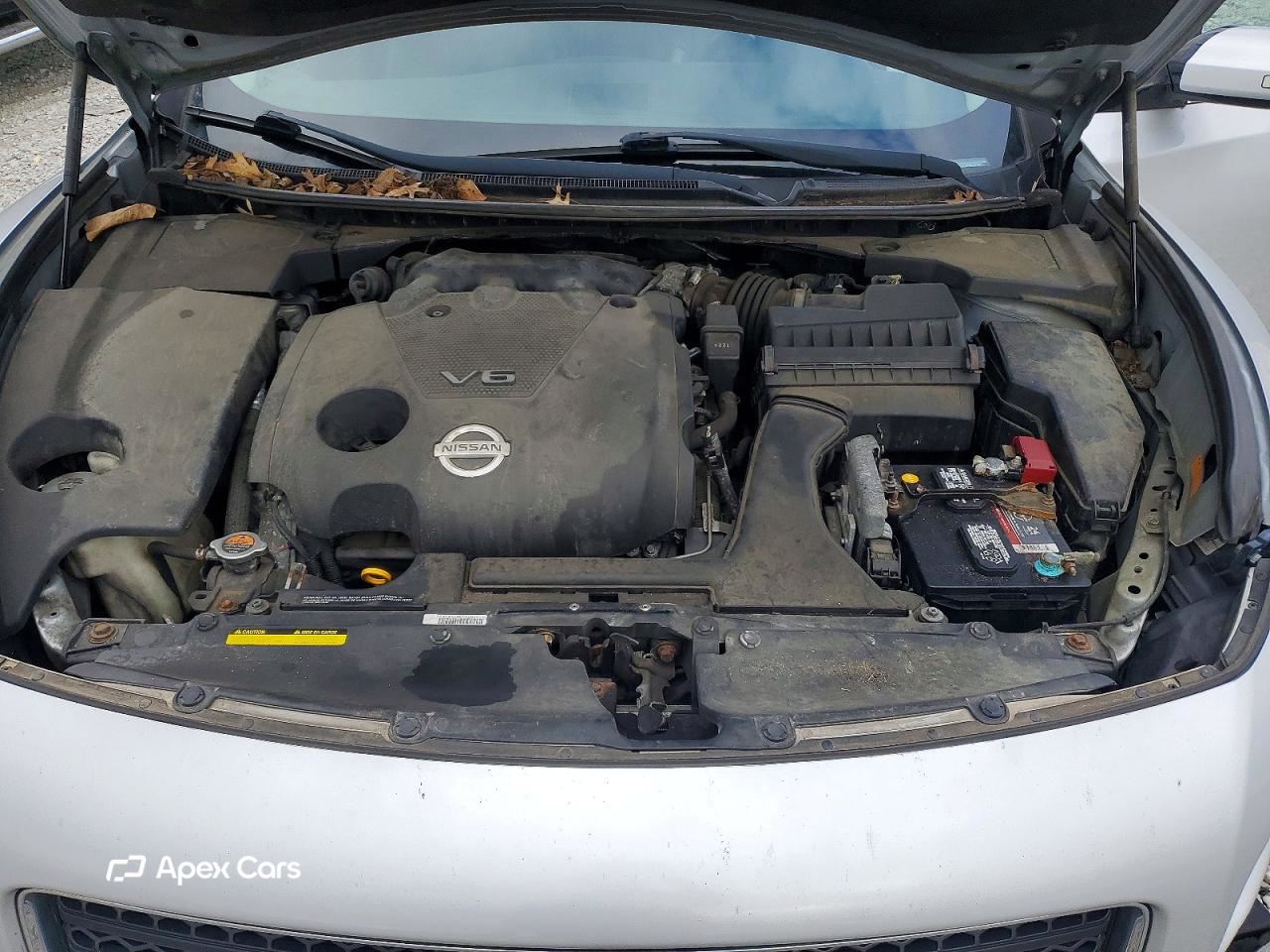 Nissan Maxima 2011