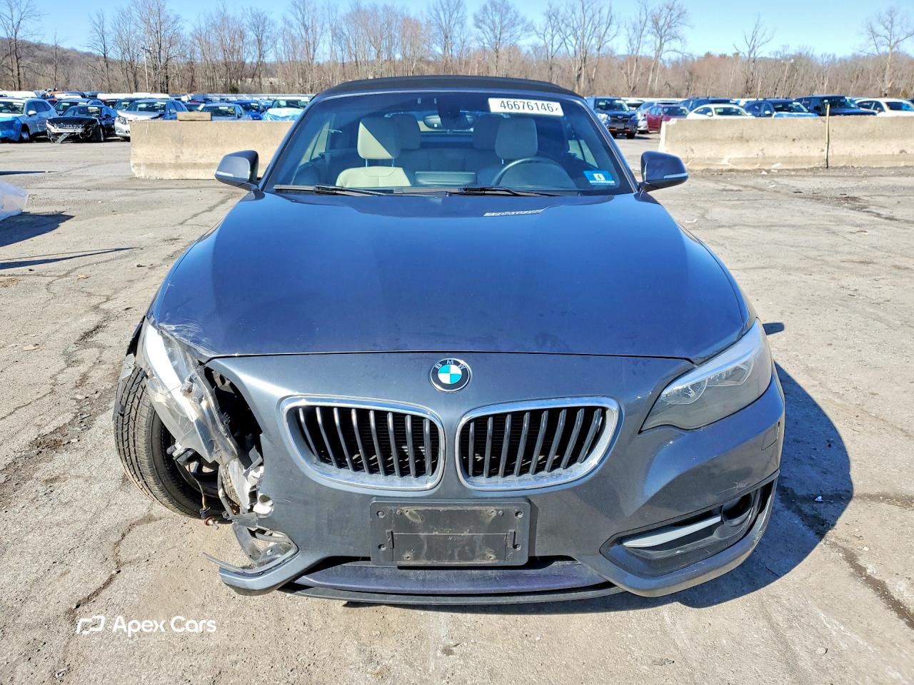 BMW Series 2 2016