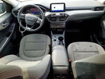 Ford Escape 2021