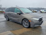 Honda Odyssey 2021