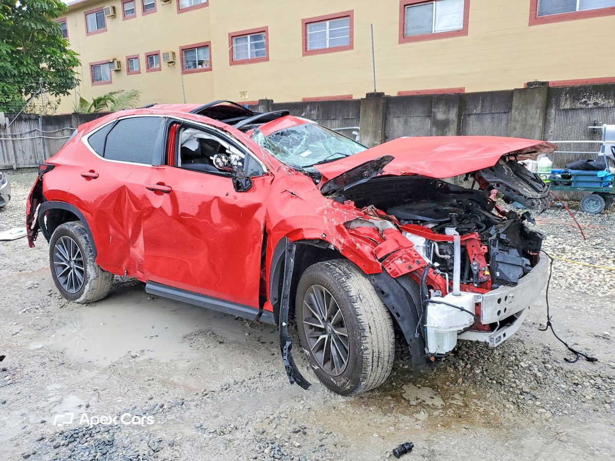 Lexus NX 2024
