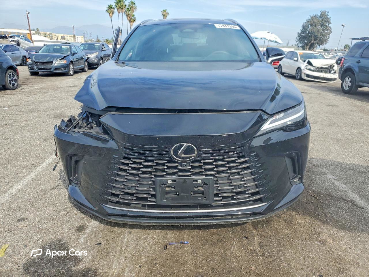 Lexus RX 2024