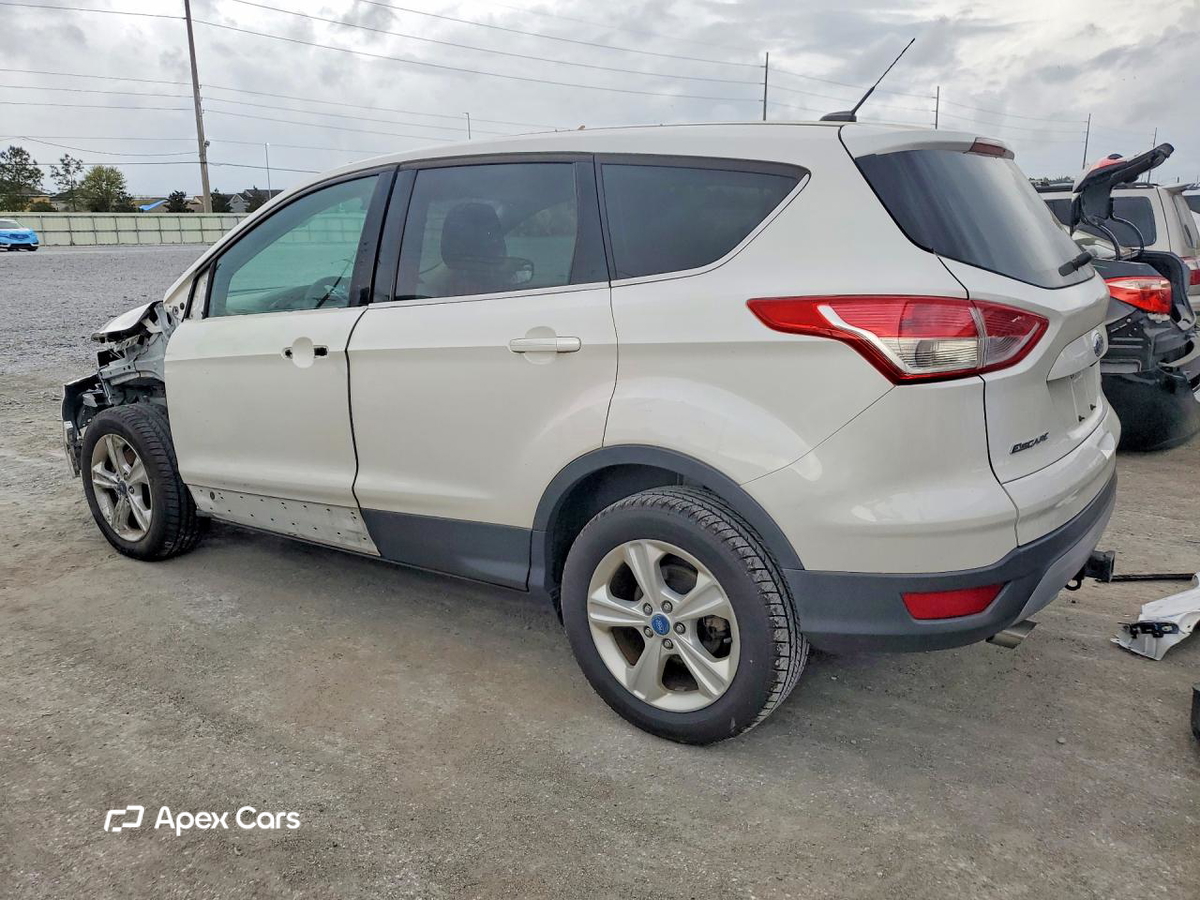 Ford Escape 2014