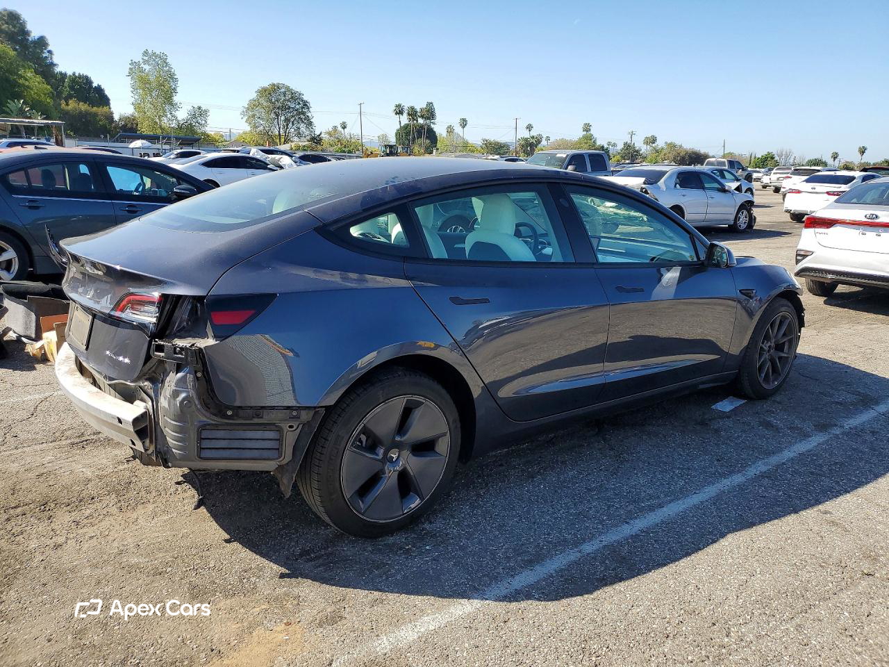 Tesla Model 3 2022