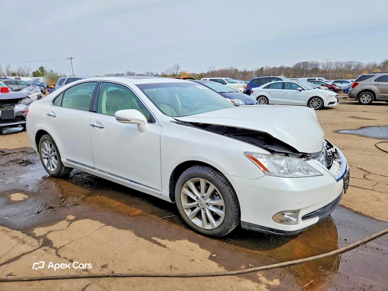 Lexus ES 2011