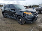 Ford Explorer 2015