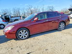 Lexus ES 2007