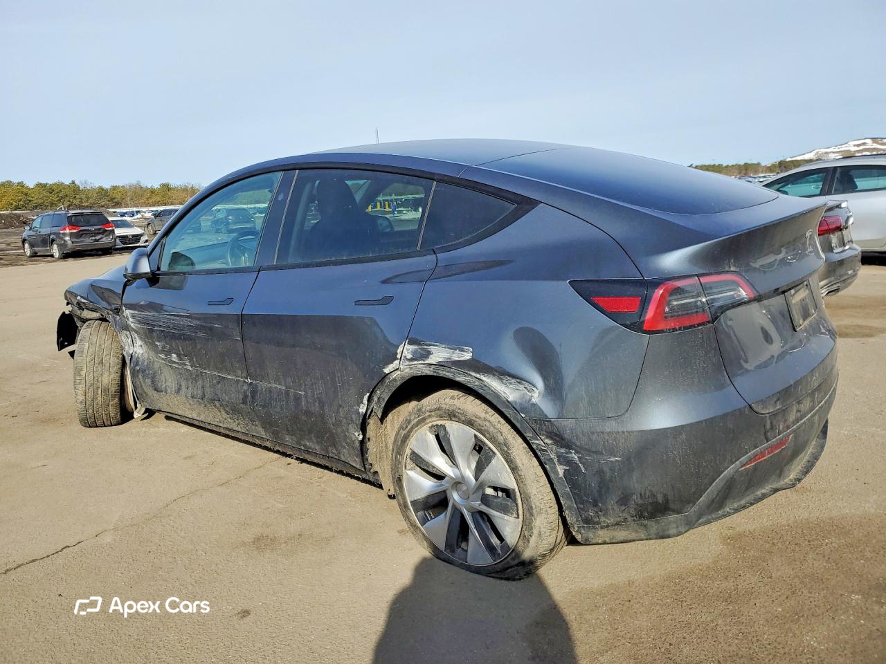 Tesla Model Y 2023