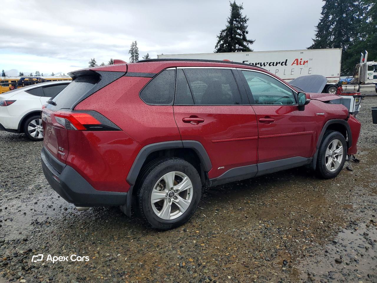Toyota RAV 4 2020