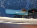 Ford Focus 2001