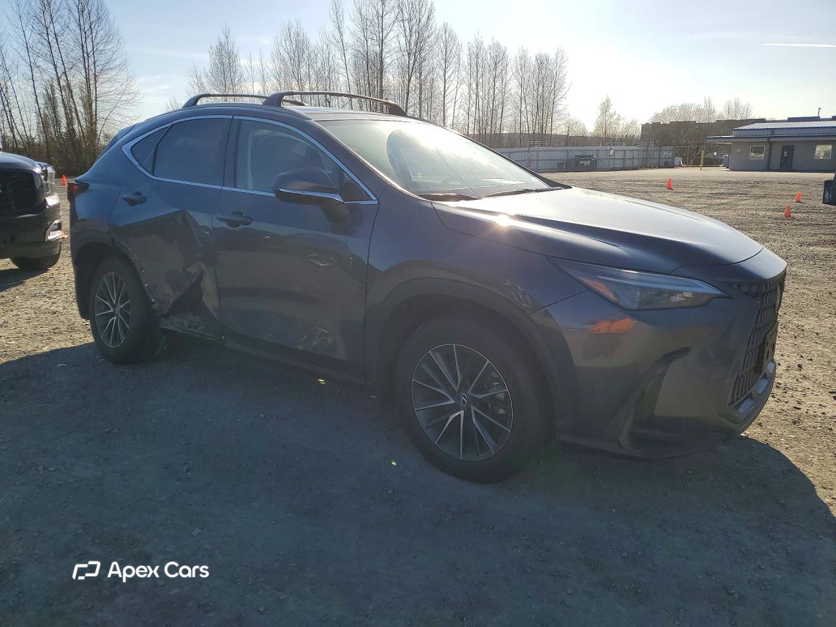 Lexus NX 2024