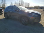Lexus NX 2024