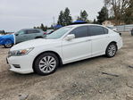 Honda Accord 2013