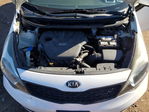 Kia Rio 2013