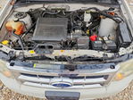 Ford Escape 2011