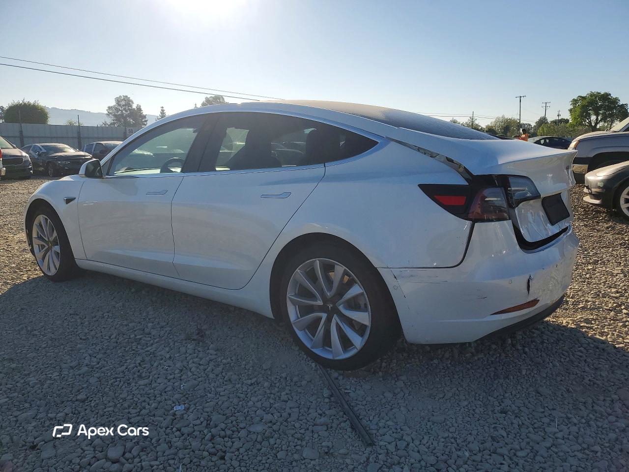 Tesla Model 3 2019
