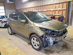 Ford Escape 2013