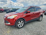 Ford Escape 2014
