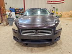 Nissan Maxima 2010