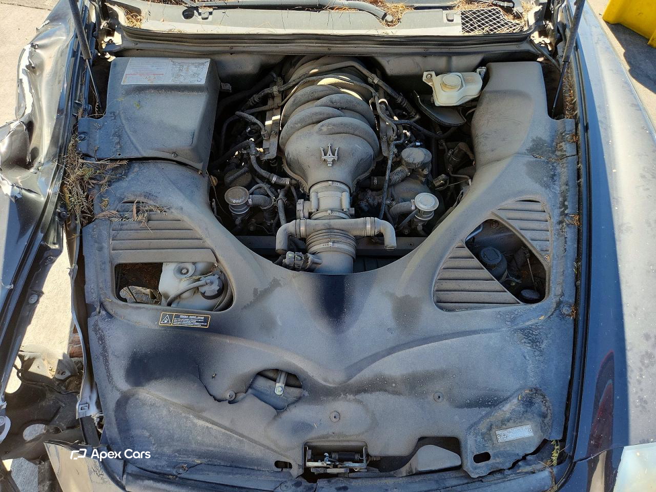 Maserati Quattroporte 2008